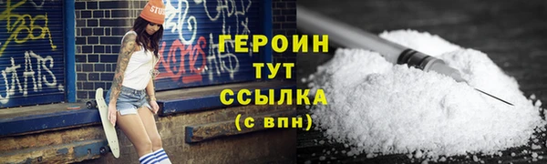 дживик Няндома