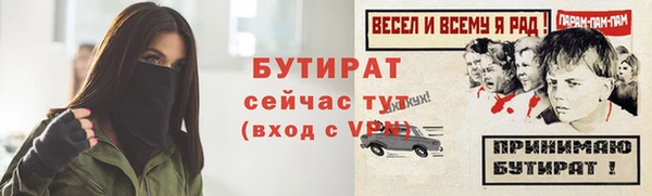 дживик Няндома