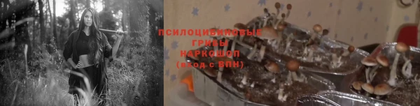 бутират Верея