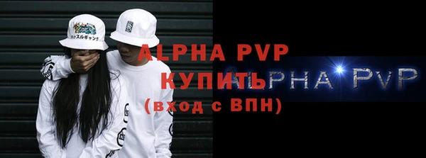 дживик Няндома