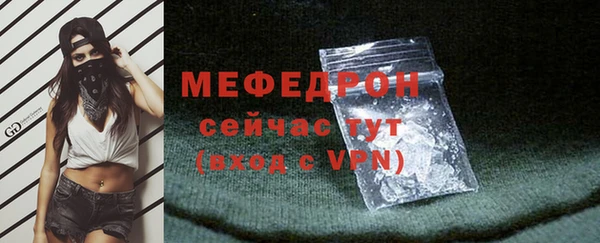 дживик Няндома