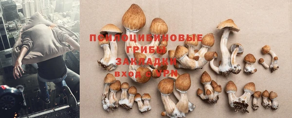 героин Нязепетровск
