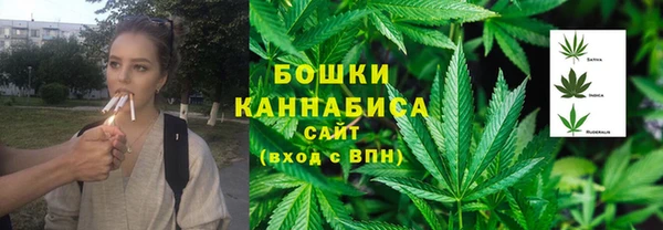 дживик Няндома