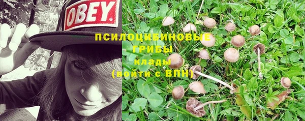 хмурый Новокубанск
