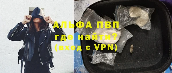 дживик Няндома