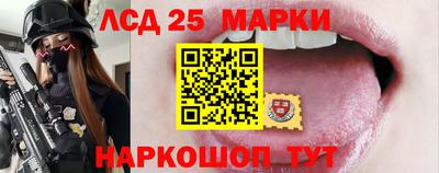 спиды Гай