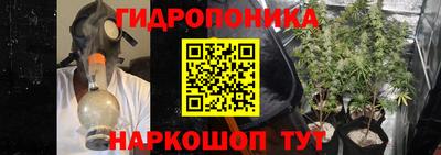 СК Гатчина