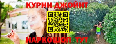 СК Гатчина