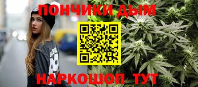 спиды Гай