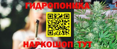 спиды Гай