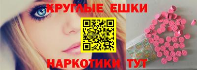 спиды Гай