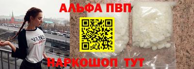 СК Гатчина