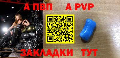 СК Гатчина