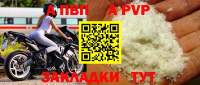 спиды Гай