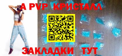 СК Гатчина