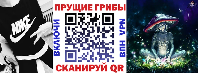Галлюциногенные грибы прущие грибы  где продают   Новозыбков 