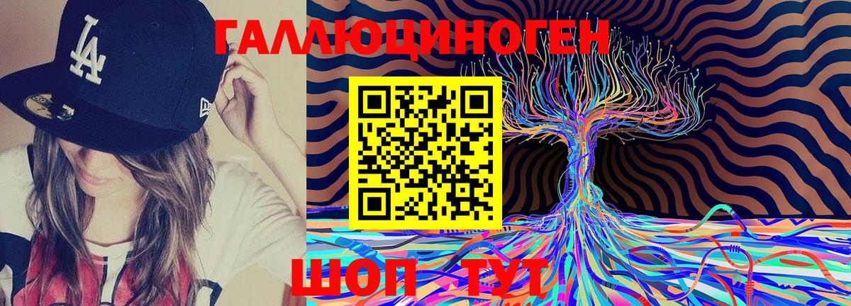Псилоцибиновые грибы GOLDEN TEACHER  Вход с VPN  Псилоцибиновые грибы MAGIC MUSHROOMS  Новозыбков 